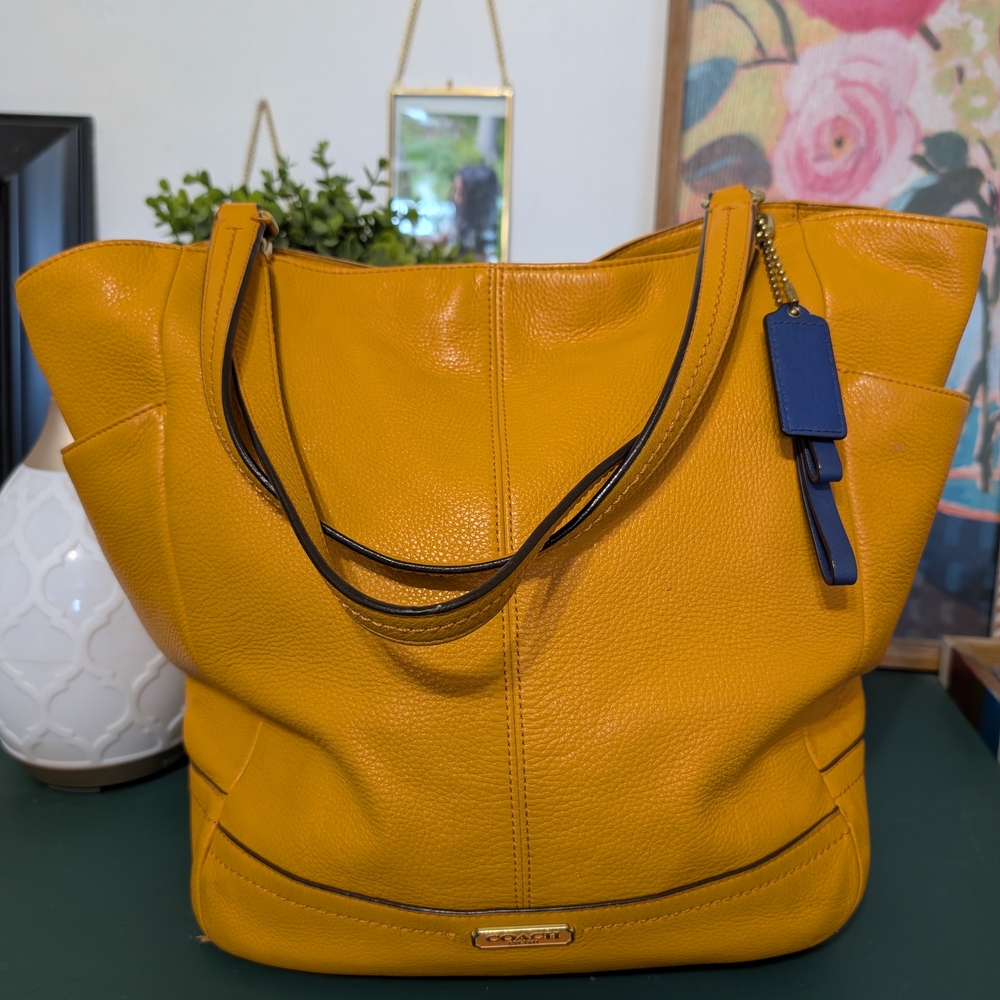 Coach Park Leather North/South Tote, in the "Orange Spice" or "Tangerine"